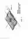 Fig. 02 - Cotendered nonwoven/pulp fabric and method for making the same