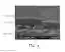 Fig. 03 - Steel sheet and fabrication method thereof