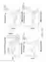 Fig. 08 - Steel sheet and fabrication method thereof
