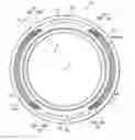 Fig. 01 - TIRE