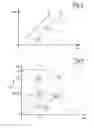 Fig. 06 - Method for estimating torque downstream of a vehicle transmission