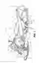 Fig. 02 - Snowmobile ski runner