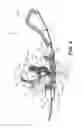Fig. 09 - Snowmobile ski runner