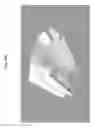 Fig. 33 - Air chamber hull