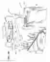 Fig. 10 - Fitment delivery system