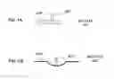 Fig. 02 - Sheet-stapling apparatus that staples center-fold sheets by staple, and image-forming system using the same
