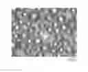 Fig. 01 - Composite particles including a fluoropolymer, methods of making, and articles including the same