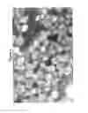 Fig. 05 - Method of Making Small Liposomes