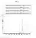 Fig. 08 - Purification of type 8 capsular saccharides