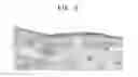 Fig. 06 - Antibodies that bind to cytokine receptor NR10