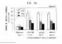 Fig. 14 - Antibodies that bind to cytokine receptor NR10