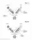 Fig. 02 - MULTISPECIFIC ANTIBODIES