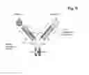 Fig. 03 - MULTISPECIFIC ANTIBODIES