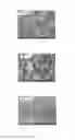 Fig. 02 - Adhesive composition