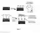 Fig. 03 - Photoactive bioadhesive compositions