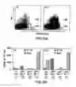 Fig. 06 - MESODERM AND DEFINITIVE ENDODERM CELL POPULATIONS