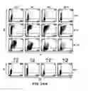 Fig. 41 - MESODERM AND DEFINITIVE ENDODERM CELL POPULATIONS
