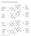 Fig. 04 - Templated molecules and methods for using such molecules