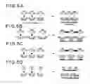 Fig. 07 - Templated molecules and methods for using such molecules