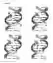 Fig. 44 - Templated molecules and methods for using such molecules