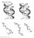 Fig. 45 - Templated molecules and methods for using such molecules