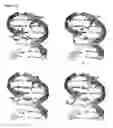 Fig. 46 - Templated molecules and methods for using such molecules