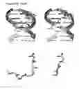 Fig. 47 - Templated molecules and methods for using such molecules
