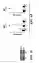 Fig. 06 - Method for inhibiting calcification of a macrophage-derived matrix vesicle