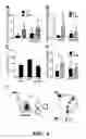 Fig. 09 - Method for inhibiting calcification of a macrophage-derived matrix vesicle