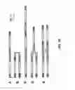 Fig. 03 - Multimeric oligonucleotides compounds having cleavable linkers