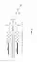 Fig. 04 - Multimeric oligonucleotides compounds having cleavable linkers
