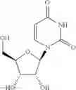 Fig. 55 - Multimeric oligonucleotides compounds having cleavable linkers