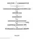 Fig. 13 - Methods and Systems for Methylotrophic Production of Organic Compounds