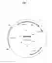 Fig. 02 - YEAST CELLS HAVING DISRUPTED PATHWAY FROM DIHYDROXYACETONE PHOSPHATE TO GLYCEROL