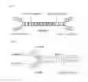 Fig. 02 - BOW TIE DNA COMPOSITIONS AND METHODS
