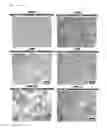 Fig. 04 - METHOD FOR MANUFACTURING EXTRUDED MAGNESIUM ALLOY AND EXTRUDED MAGNESIUM ALLOY MANUFACTURED THEREBY