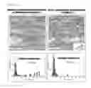 Fig. 06 - METHOD FOR MANUFACTURING EXTRUDED MAGNESIUM ALLOY AND EXTRUDED MAGNESIUM ALLOY MANUFACTURED THEREBY