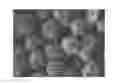 Fig. 01 - Diamond grains, method for making same and mixture comprising same