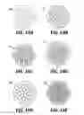 Fig. 12 - Archimedean cages, polyhedra, and nanotube structures and methods