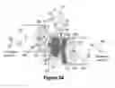 Fig. 25 - Spool shuttle crossover valve in split-cycle engine