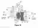 Fig. 26 - Spool shuttle crossover valve in split-cycle engine
