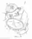 Fig. 02 - Flapper assembly for a throttle valve