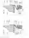 Fig. 13 - Filter element