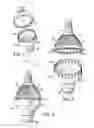 Fig. 02 - ADAPTER FOR CHANGING LED LIGHT BULBS