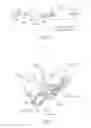 Fig. 07 - Metering system and method for fluid delivery