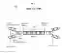 Fig. 04 - Presenting stretched strands of single strand DNA for sequencing double strand DNA