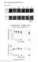 Fig. 09 - Electrophoretic separation devices and methods for using the same
