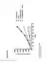 Fig. 08 - Human Notch Receptor Mutations and Their Use