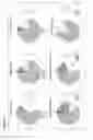 Fig. 14 - Human Notch Receptor Mutations and Their Use