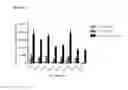 Fig. 08 - Coumarin-based fluorogenic agents and uses thereof for specific protein labelling